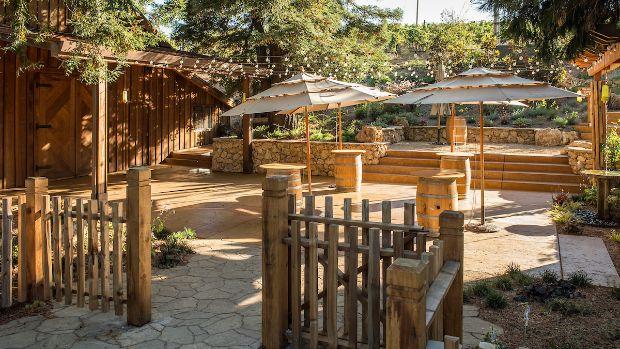 Ridge Vineyards – Monte Bello - Image 2 Ridge Vineyards – Monte Bello - Image 2